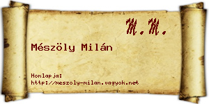 Mészöly Milán névjegykártya